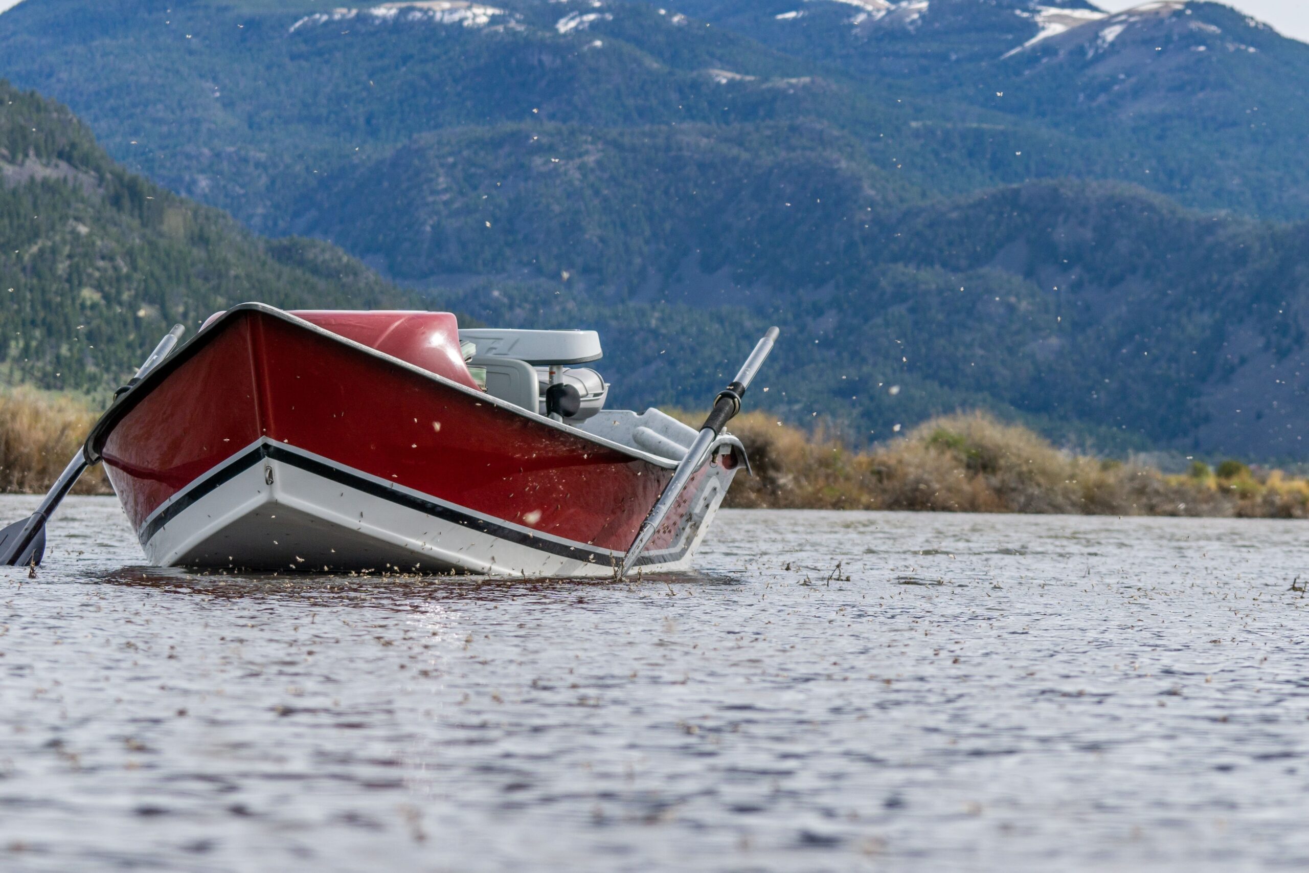 Fly Fishing Montana In June