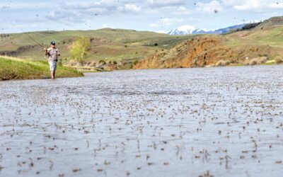 Fly Fishing Montana in May – Four Fantastic Options