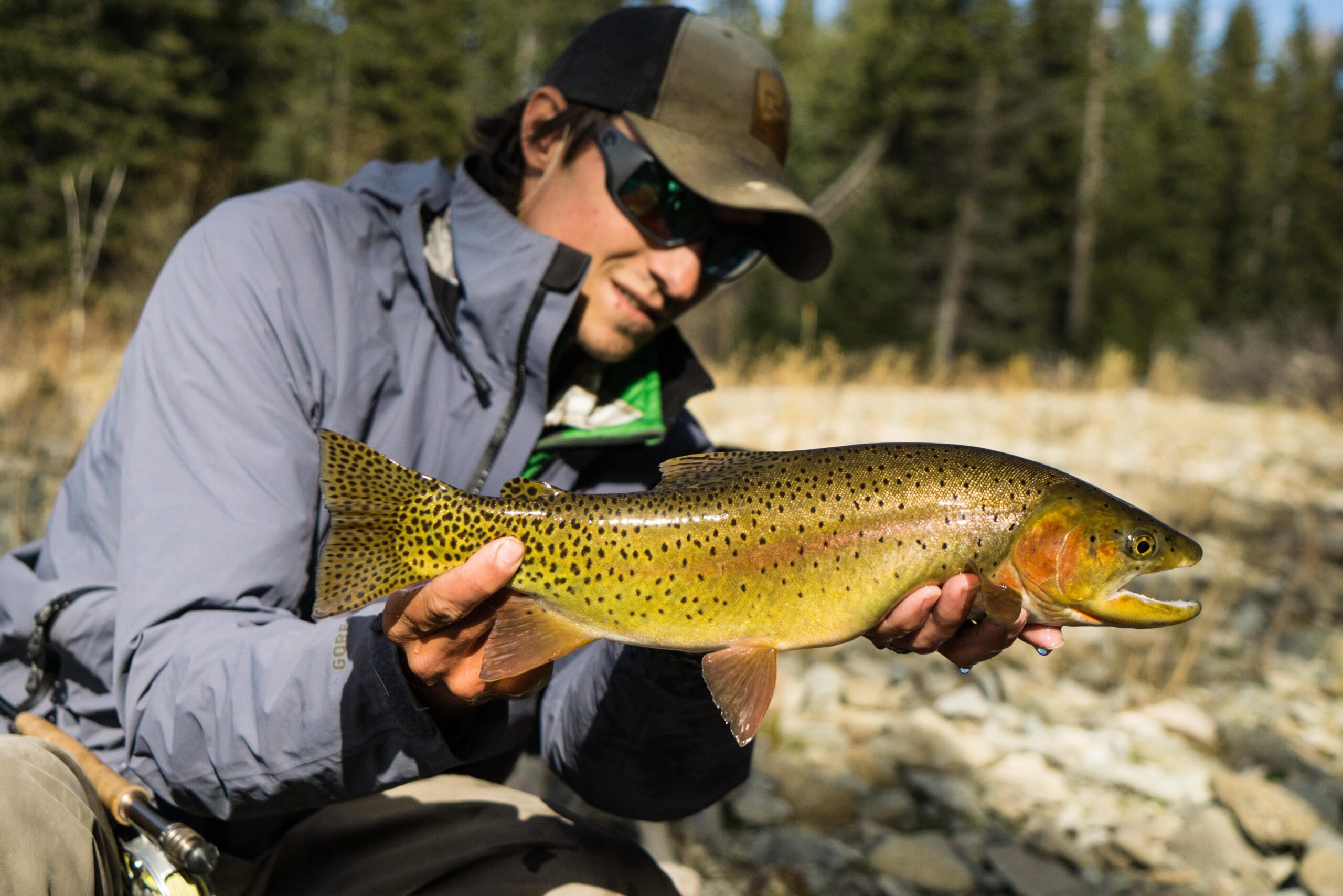 Montana Fly Fishing Guide Trips | Yellowstone Cutthroat Trout