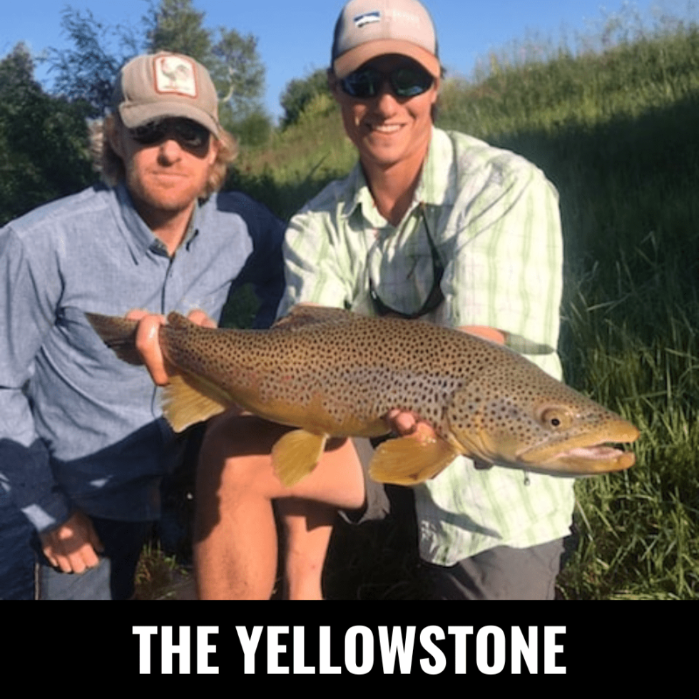 Best Fly Fishing In Montana Detailed River Descriptions