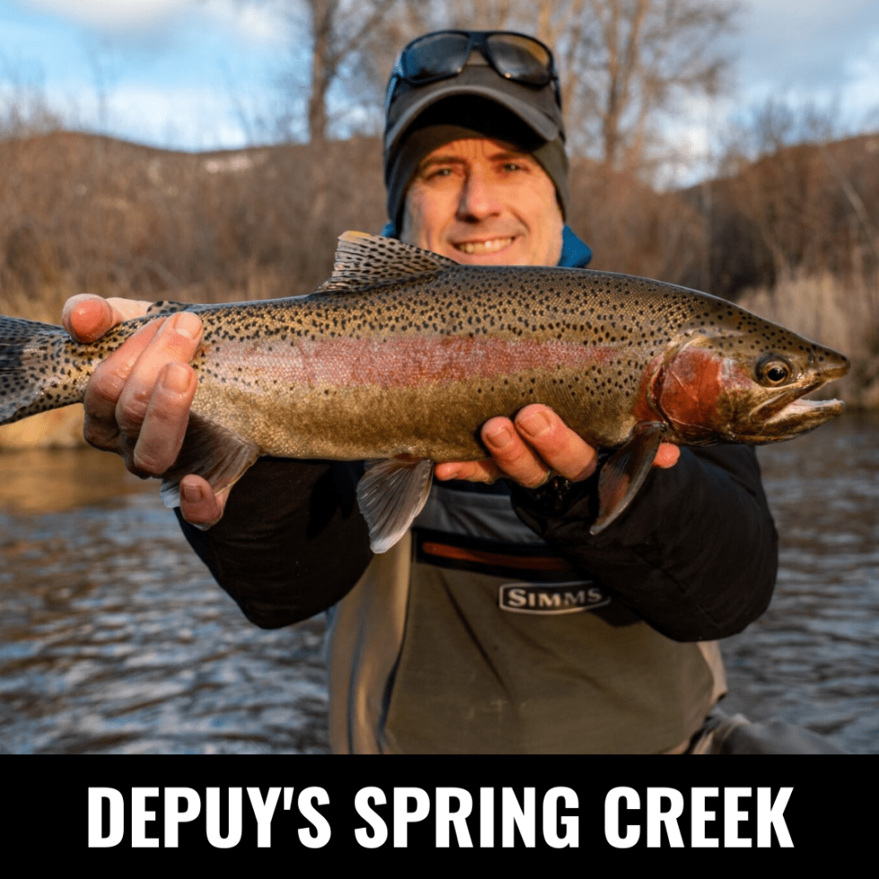 Best Fly Fishing In Montana Detailed River Descriptions