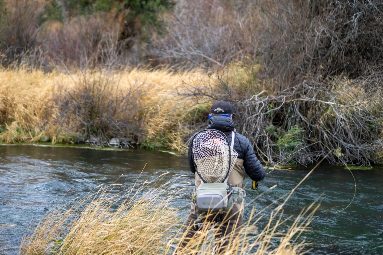 Best Time To Fly Fish In Montana Monthly Breakdown