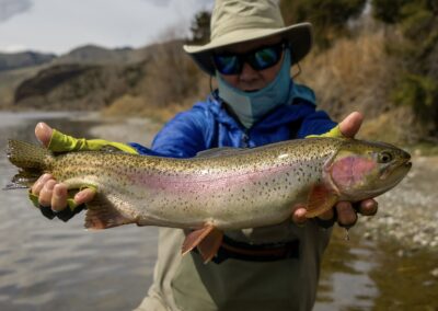 Missouri River Fly Fishing | Montana River Descriptions, Wet Net Outfitters