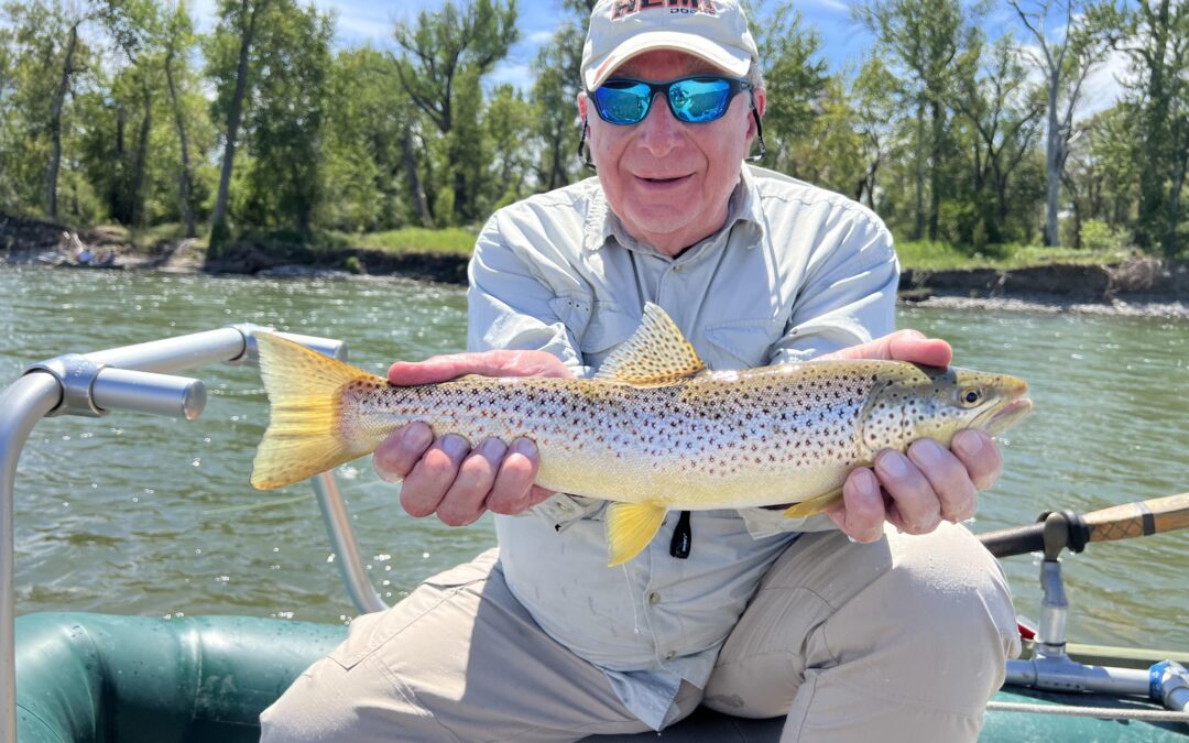 Spring Dry Fly Fishing in Montana – Five Premier Hatches