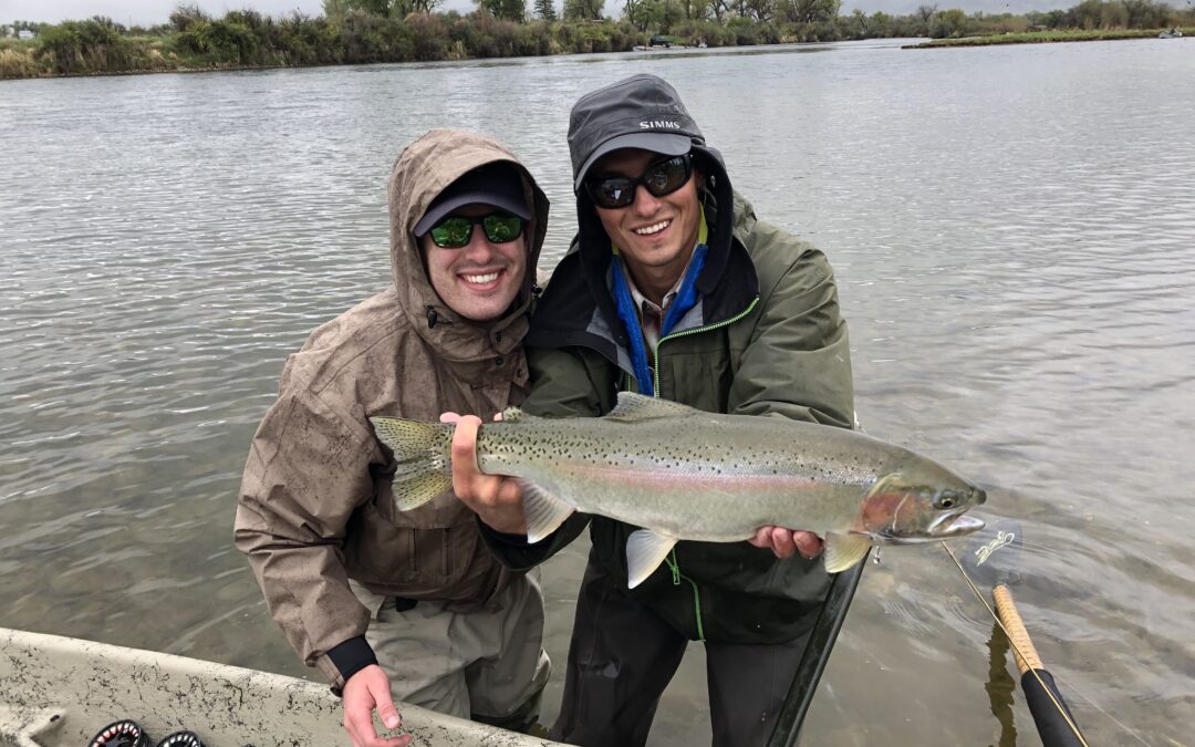 Bighorn River Fly Fishing | Montana River Descriptions, Wet Net Outfitters