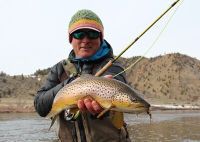 Missouri River Fly Fishing | Montana River Descriptions, Wet Net Outfitters