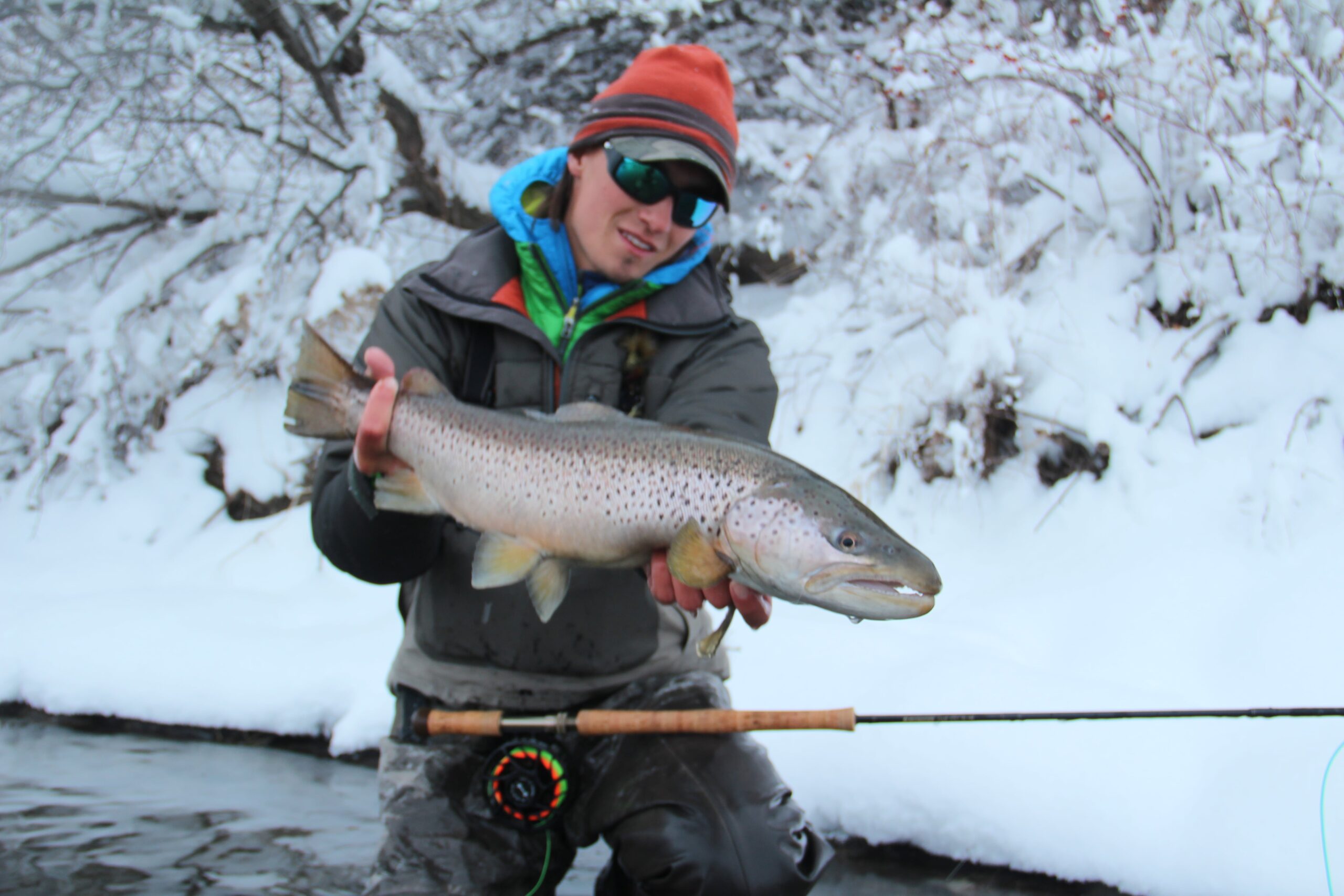 Trout of Montana Trailhead Country — Snowy Days Quilting