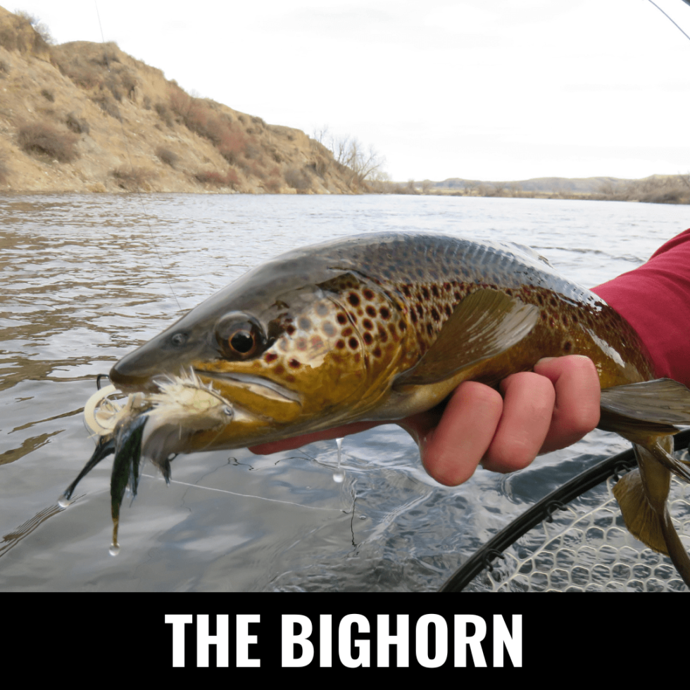 Best Fly Fishing In Montana Detailed River Descriptions