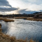 Montana Fly Fishing Guides | DePuy's Spring Creek Fly Fishing