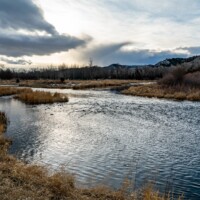 Montana Fly Fishing Guides | DePuy's Spring Creek Fly Fishing