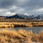 Montana Fly Fishing Guides | DePuy's Spring Creek Fly Fishing