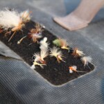 Montana Dry Fly Fishing | Wet Net Outfitters