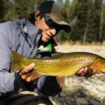 Yellowstone Cutthroat Trout