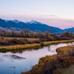 Armstrong's Spring Creek Fly Fishing Montana | Wet Net Outfitters