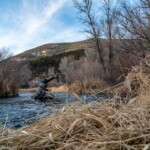 DePuy's Spring Creek Fly Fishing | Montana River Descriptions by Wet Net Outfitters