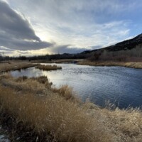 DePuy's Spring Creek Fly Fishing | Montana River Descriptions by Wet Net Outfitters