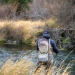 Armstrong's Spring Creek Montana Fly Fishing