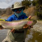 Montana Fly Fishing Guides | Missouri River Rainbow Trout