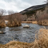 Montana Fly Fishing Guides | Spring Creek Fly Fishing