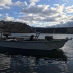 Montana Fly Fishing Guides | Missouri River Fly Fishing