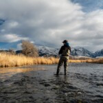 Montana Fly Fishing Guides | DePuy's Spring Creek Fly Fishing