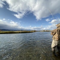 Madison River Fly Fishing | Montana River Descriptions by Wet Net Outfitters