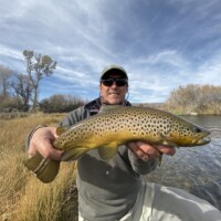 Madison River Fly Fishing | Montana River Descriptions by Wet Net Outfitters