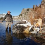 Missouri River Fly Fishing | Montana River Descriptions, Wet Net Outfitters