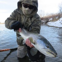 Bighorn River Fly Fishing | Montana River Descriptions, Wet Net Outfitters