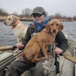 Madison River Fly Fishing | Montana River Descriptions by Wet Net Outfitters