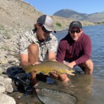 Yellowstone River Fly Fishing | Montana River Descriptions by Wet Net Outfitters