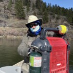 Missouri River Fly Fishing | Montana River Descriptions, Wet Net Outfitters