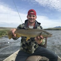 Madison River Fly Fishing | Montana River Descriptions by Wet Net Outfitters