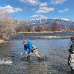 Montana Fly Fishing Guides