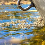 Missouri River Fly Fishing | Montana River Descriptions, Wet Net Outfitters