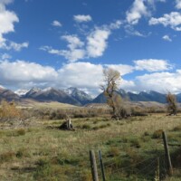 Armstrong's Spring Creek Fly Fishing | Montana Fly Fishing Guides, Wet Net Outfitters