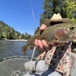 Boulder River Fly Fishing | Montana River Descriptions by Wet Net Outfitters