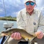 Yellowstone River Fly Fishing | Montana River Descriptions by Wet Net Outfitters