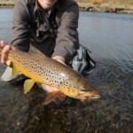 Montana Streamer Fishing, Montana Fly Fishing Guides | Wet Net Outfitters