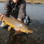 Montana Streamer Fishing, Montana Fly Fishing Guides | Wet Net Outfitters