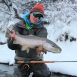 Bighorn River Fly Fishing | Montana River Descriptions, Wet Net Outfitters