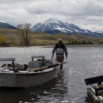 Yellowstone River Fly Fishing | Montana River Descriptions by Wet Net Outfitters