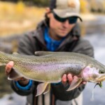 Yellowstone River Fly Fishing | Montana River Descriptions by Wet Net Outfitters