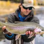 Yellowstone River Fly Fishing | Montana River Descriptions by Wet Net Outfitters