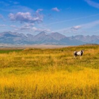Yellowstone River Retreat, Yellowstone River Fishing Lodge | Montana's Wet Net Outfitters