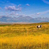 Yellowstone River Retreat, Yellowstone River Fishing Lodge | Montana's Wet Net Outfitters